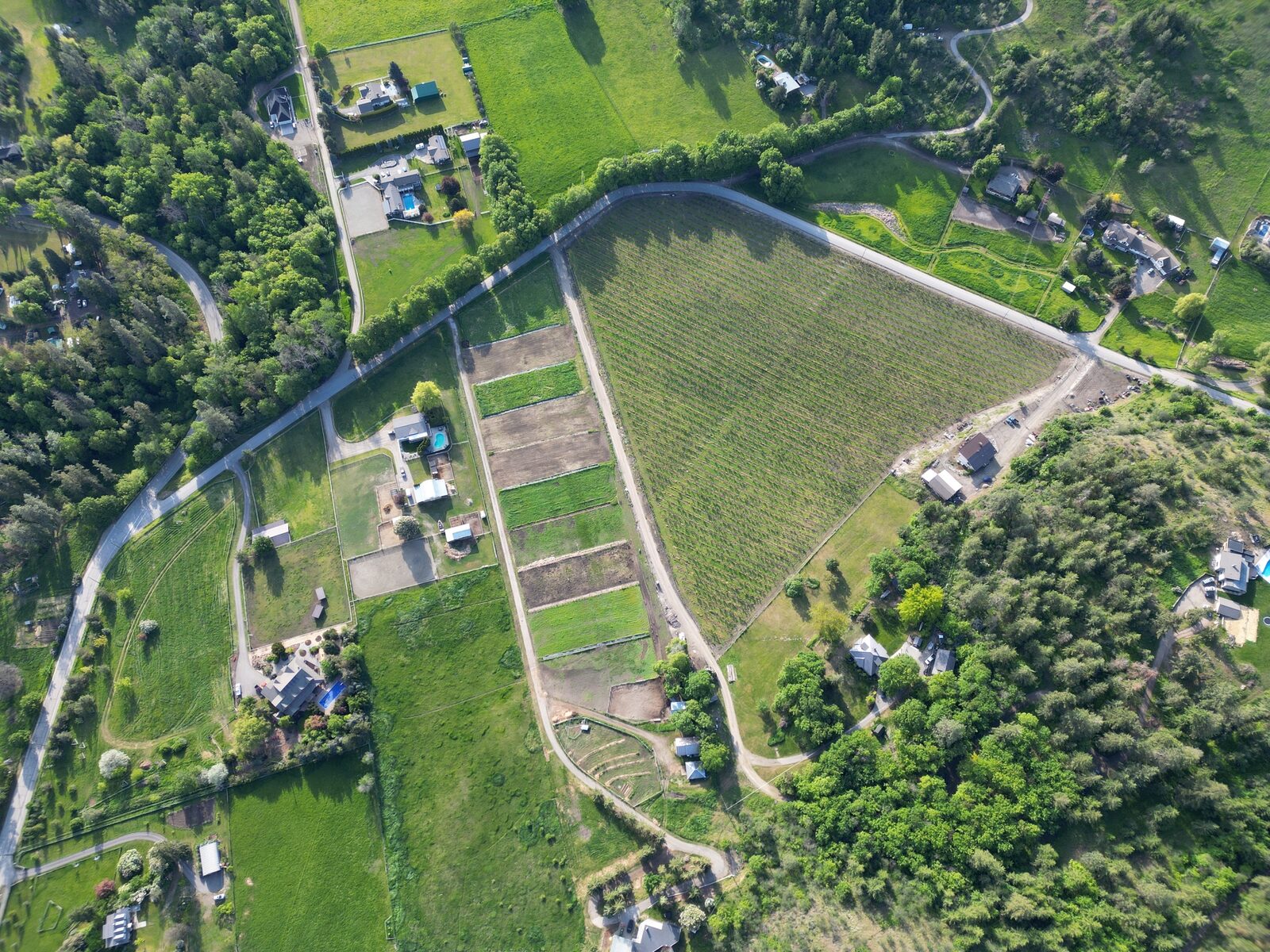 Aerial view of the Roots & Stones farm in Coldstream, BC — pasture, garden beds and tree lines on the triangular property.